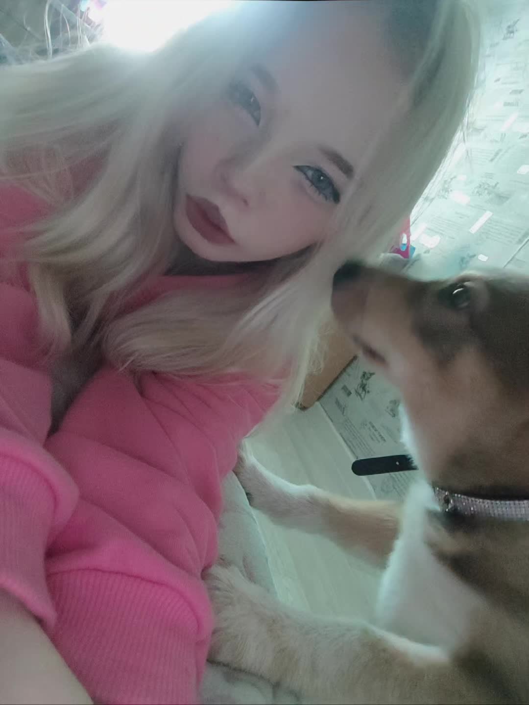 @мета