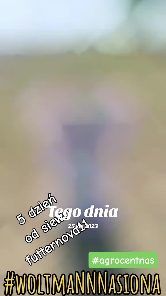 @WOLTMANNNASIONA