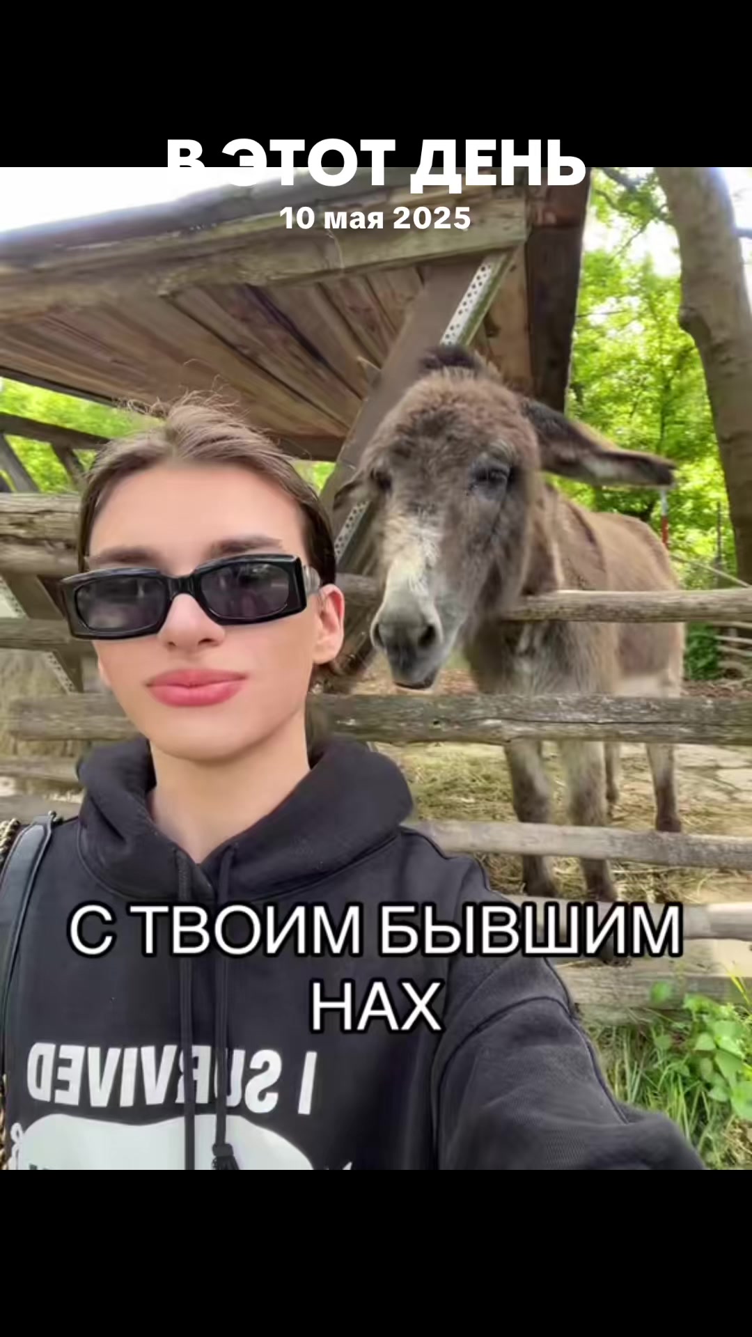 @тгк клубничка