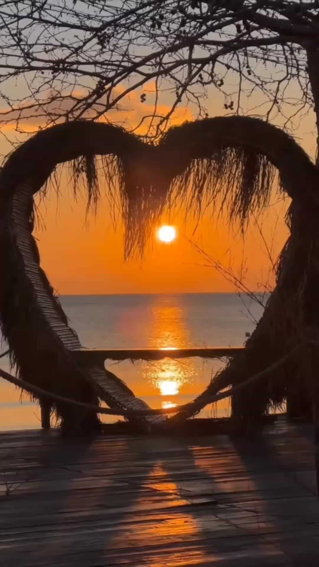 @❤️&zwj;🔥🦂 𝕾𝖈𝖔𝖗𝖕𝖎𝖔 🦂❤️&zwj;🔥