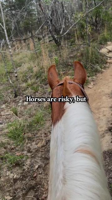@➰🐴🌻 Kala 🌻🐴➰