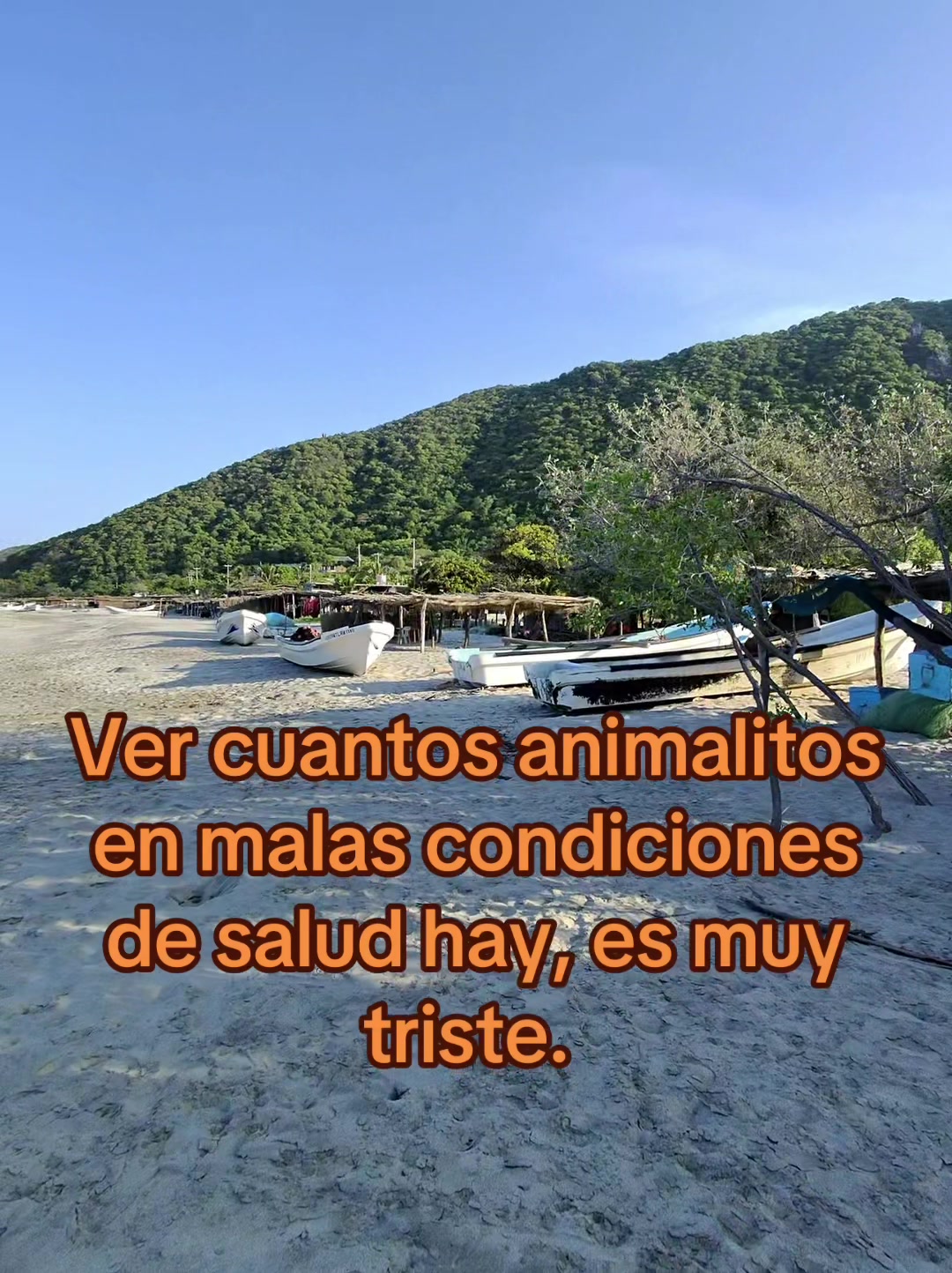 @Rescatando a los Peludos