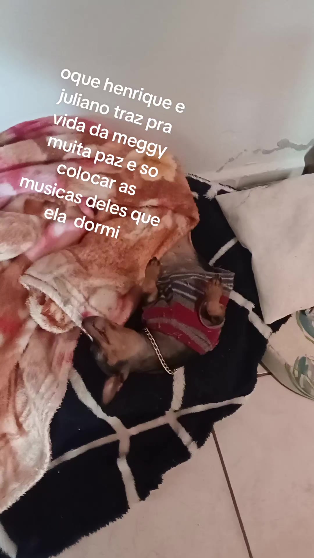 @Quesla da silva