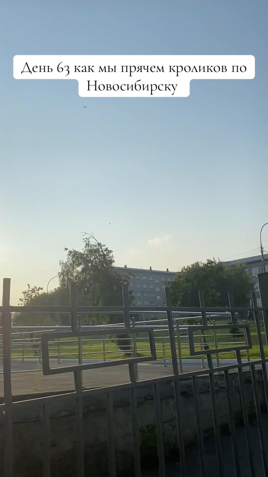 @Кролики