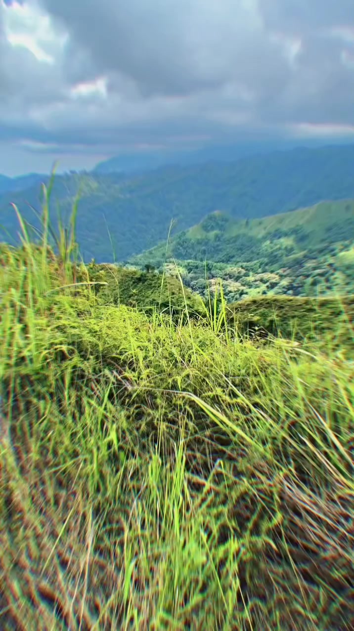 @кαяуυ∂σηη`