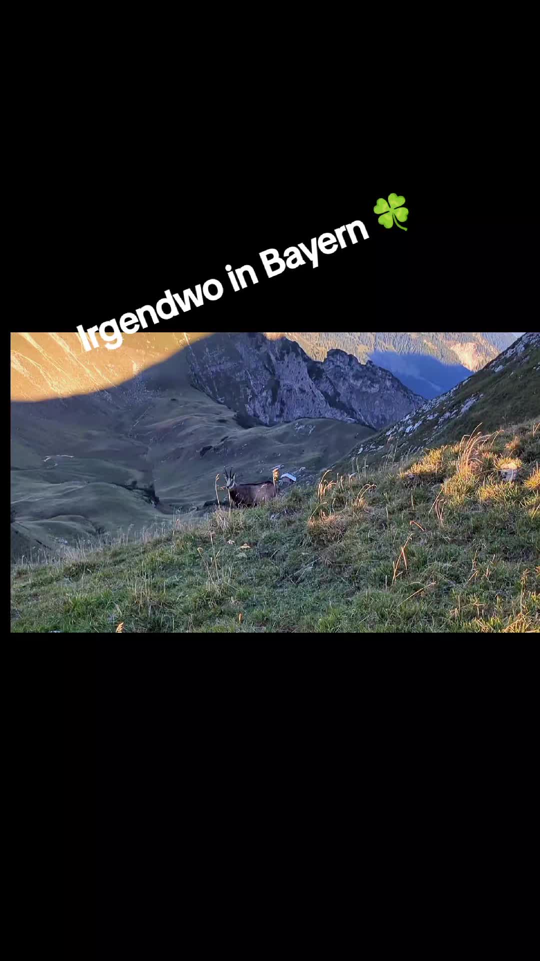 @bergwuschel