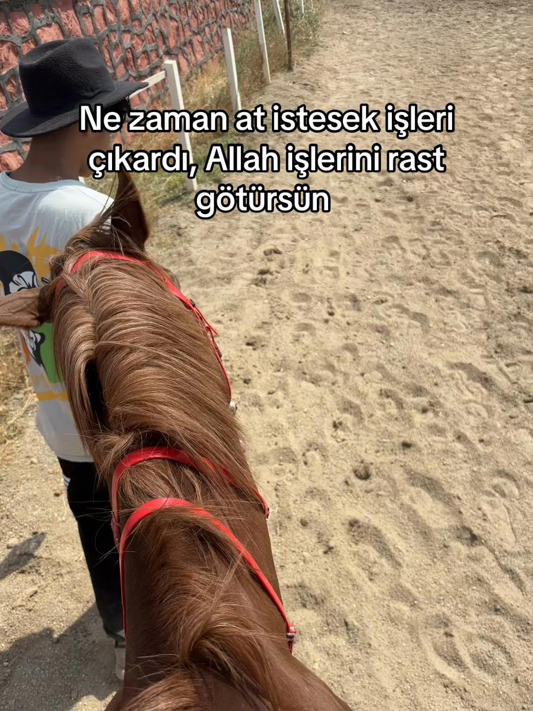 @nazlicanim