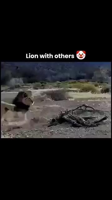 @MPANSO
