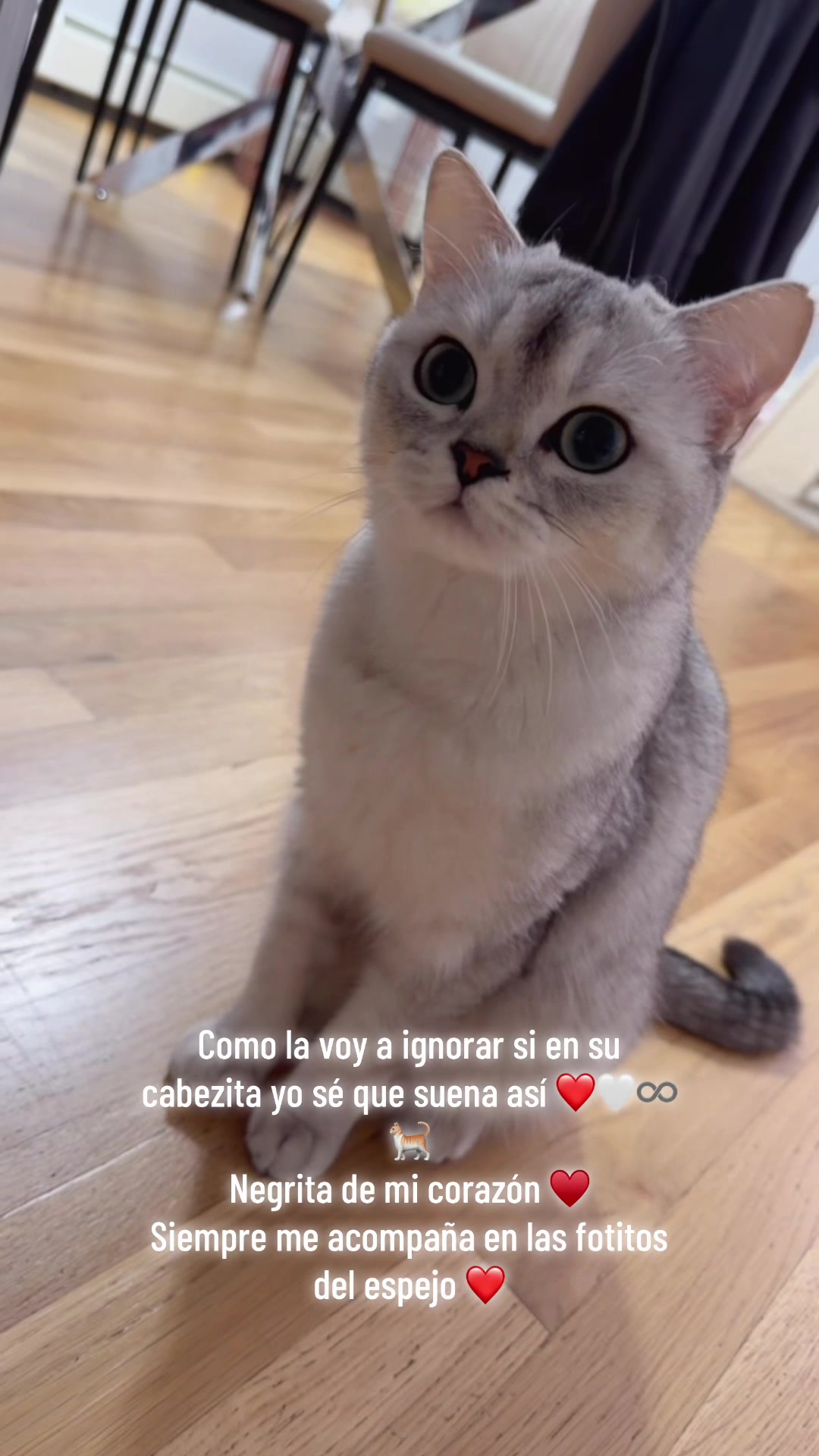 @Tefhy