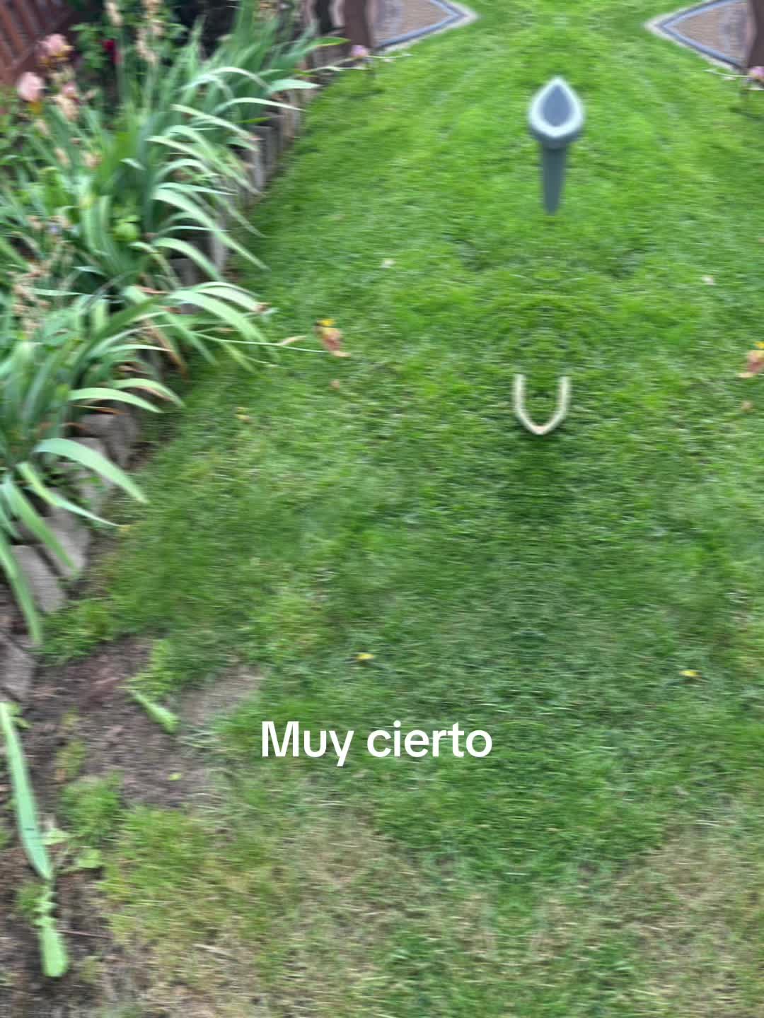 @jesustena740