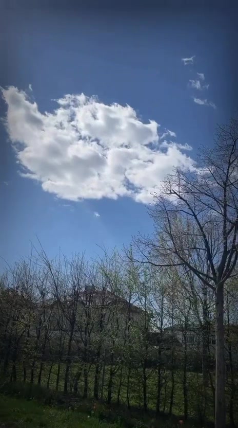 @Nomi786