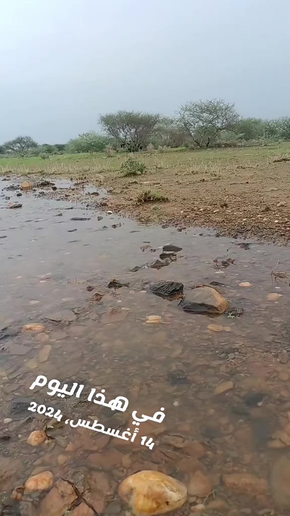 @Ali