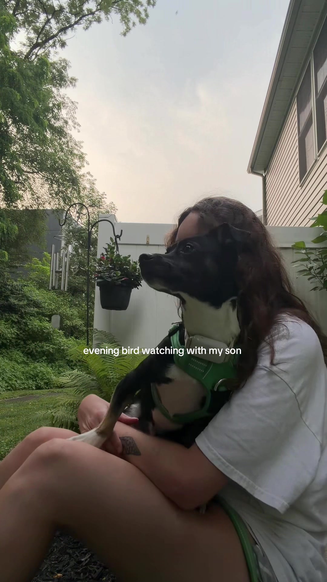 @gwen
