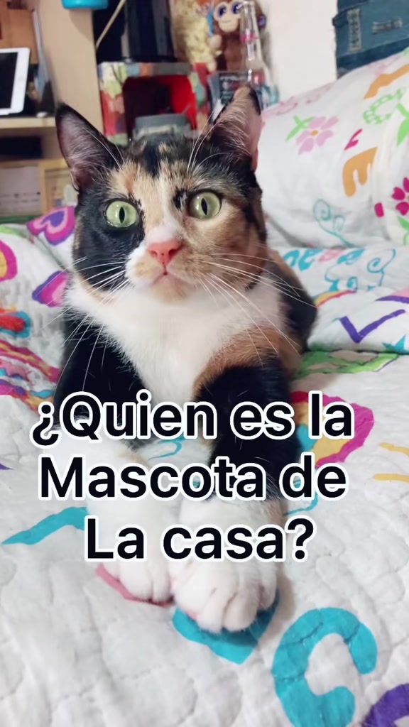 @BlackMisy