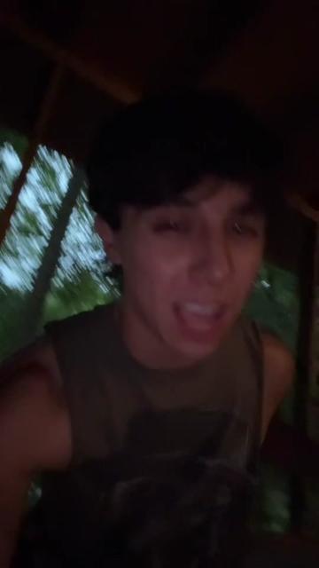 @nėwt
