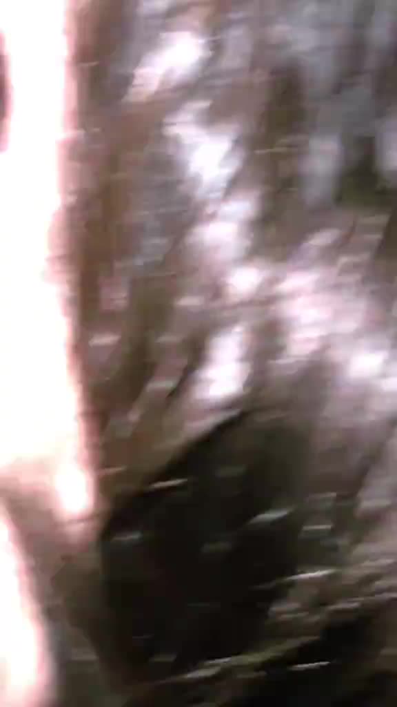 @uzaifzafar1