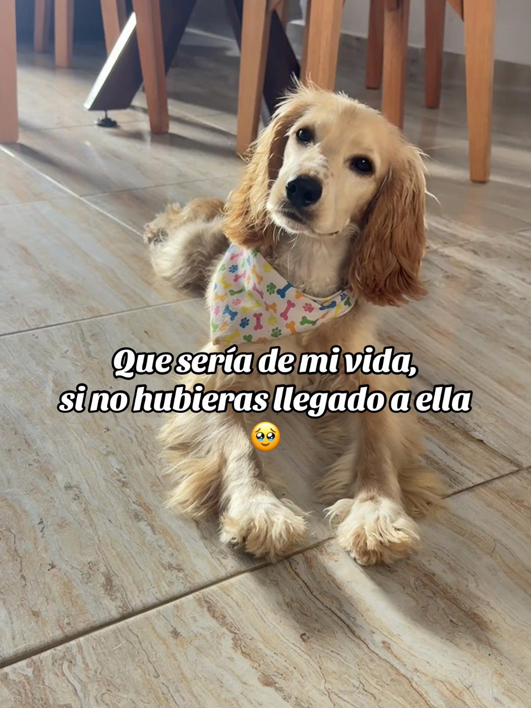 @Valentina Cortes Montoya🩷
