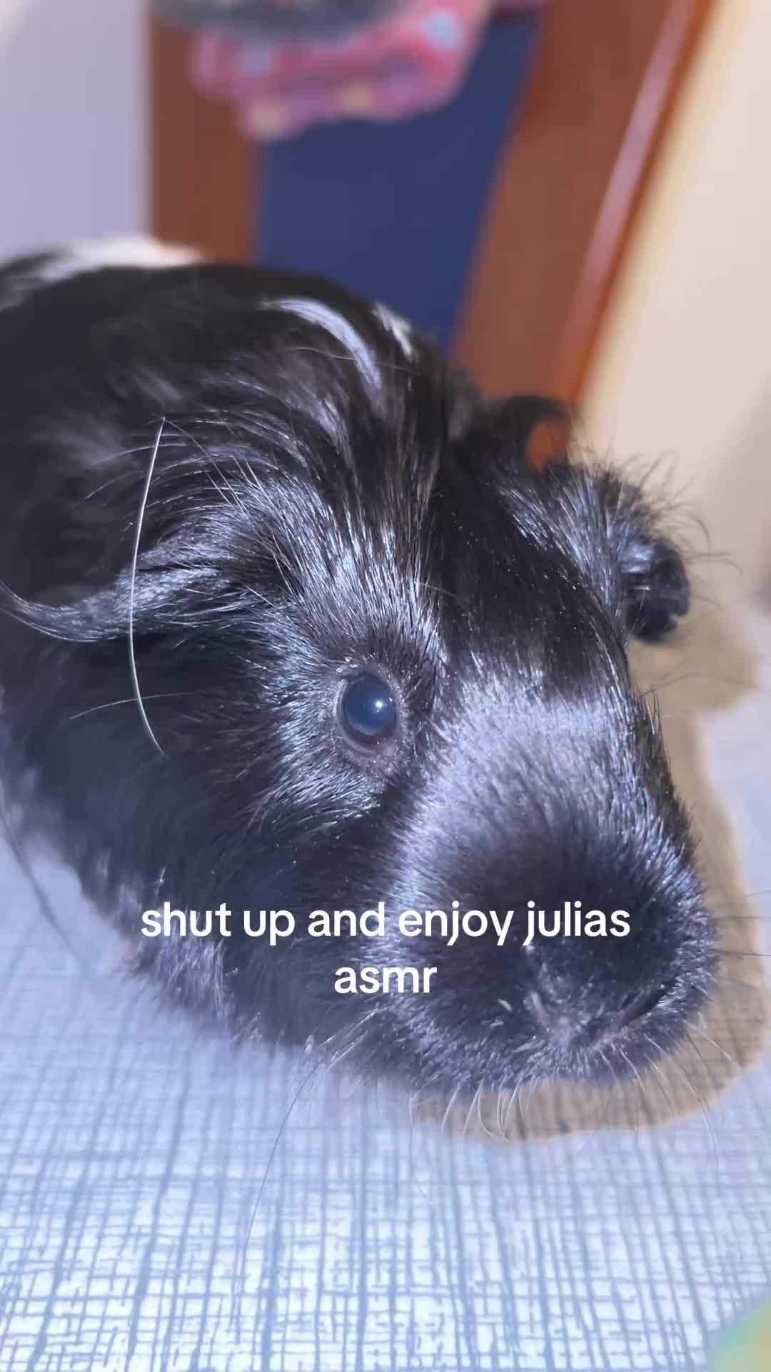 @ᦓꪻꫀꪶꪖ