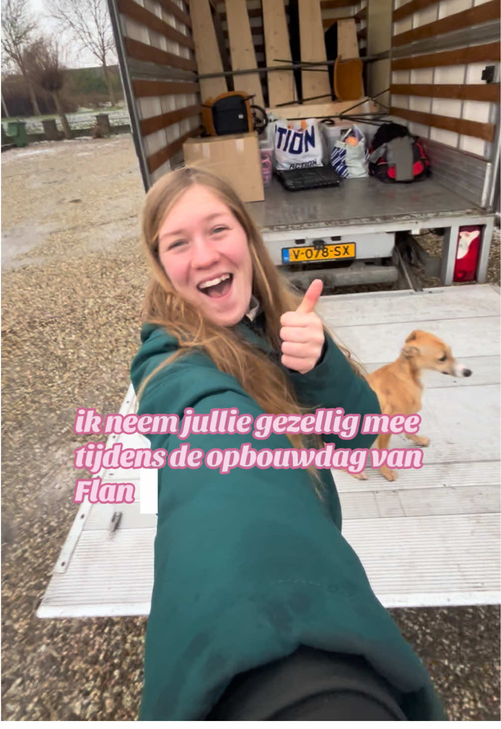 @horsecharms.com