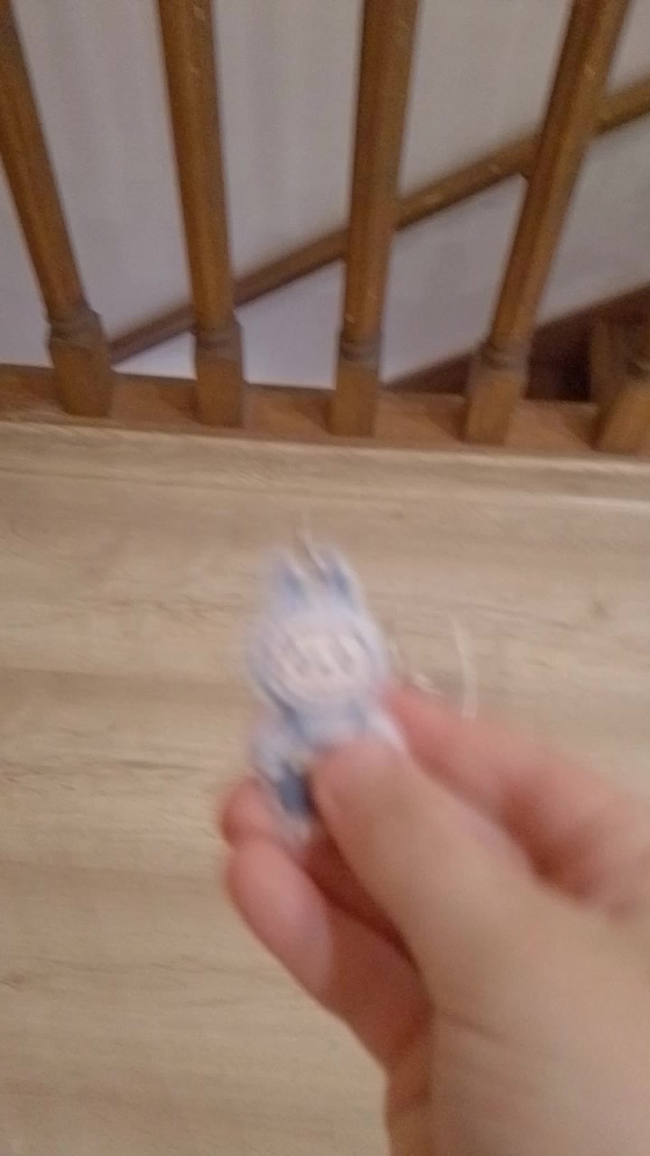 @тиктокерша