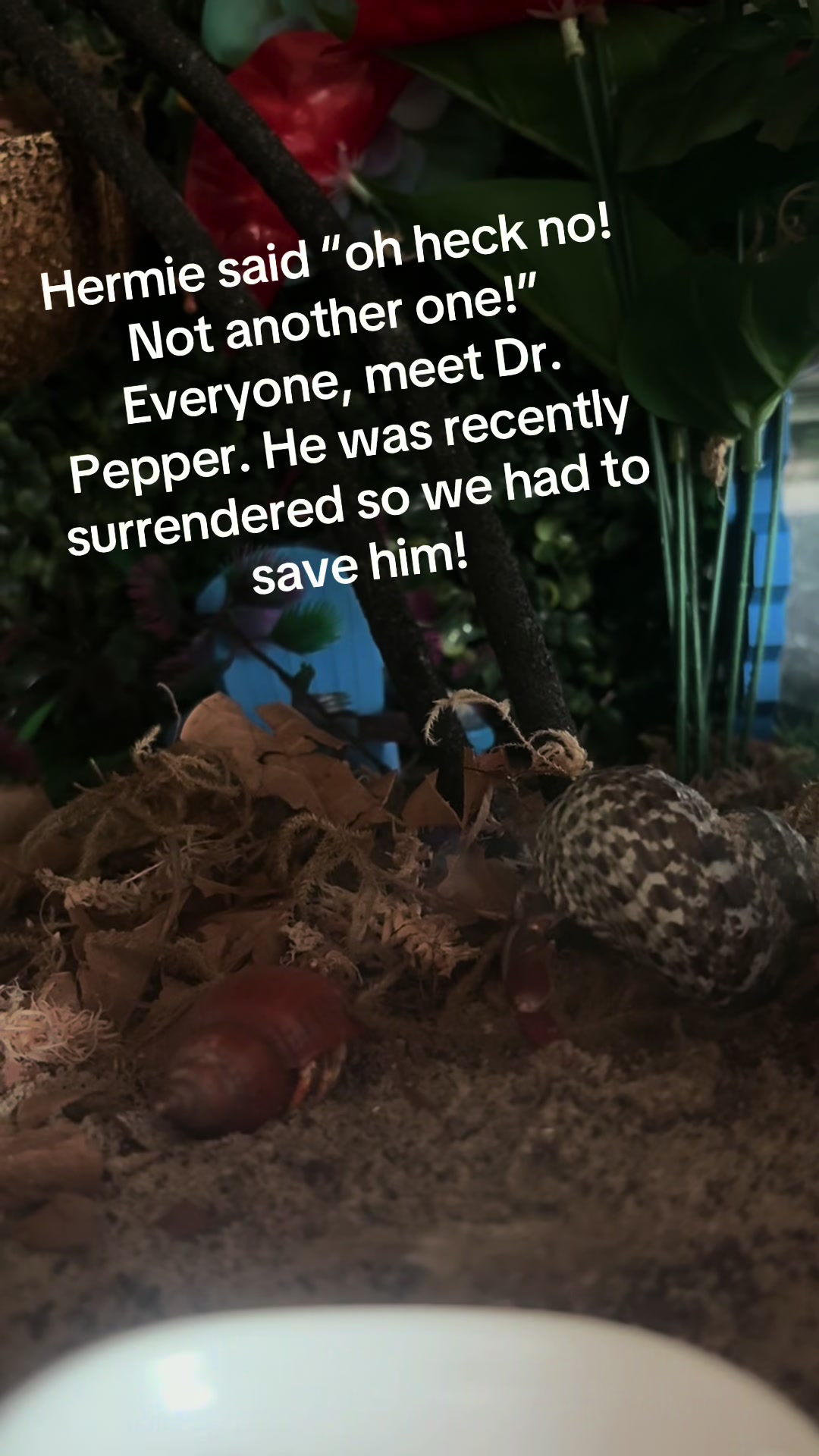 @Millennial Mama 👧 👧 🐚 🦀