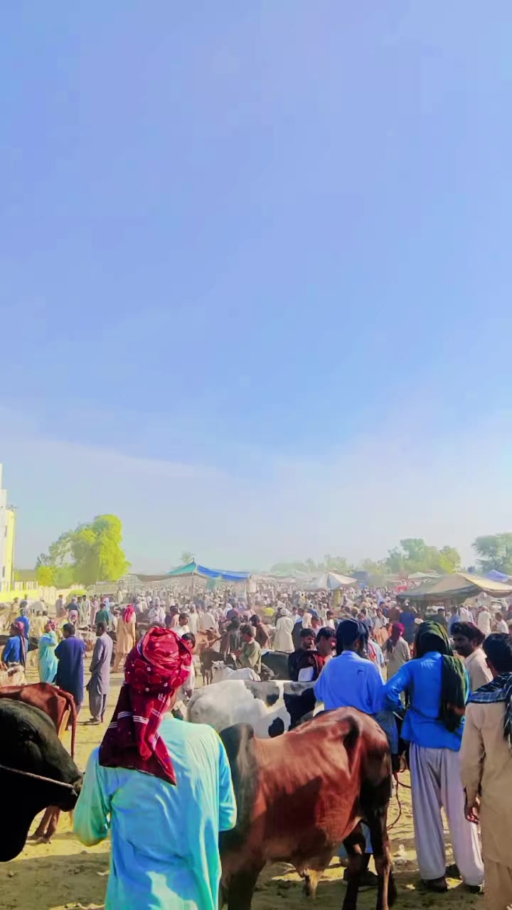 @mazhar Iqbal layyah wal