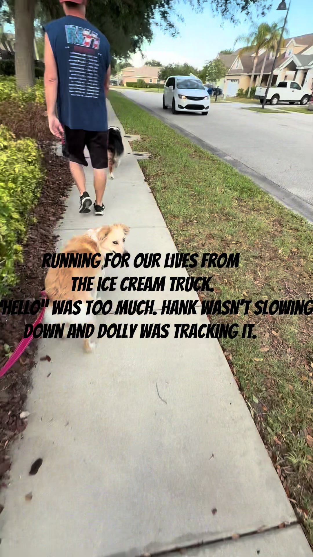 @hankanddollyrescuedogs