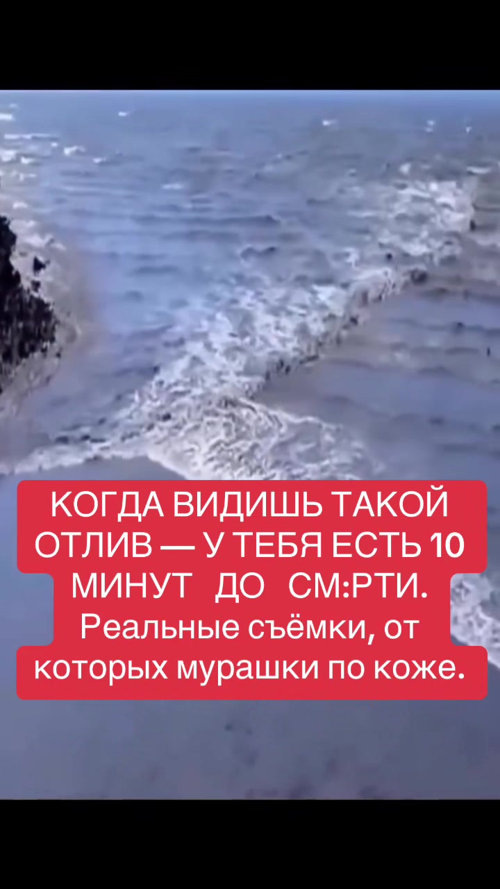 @shoblinskis