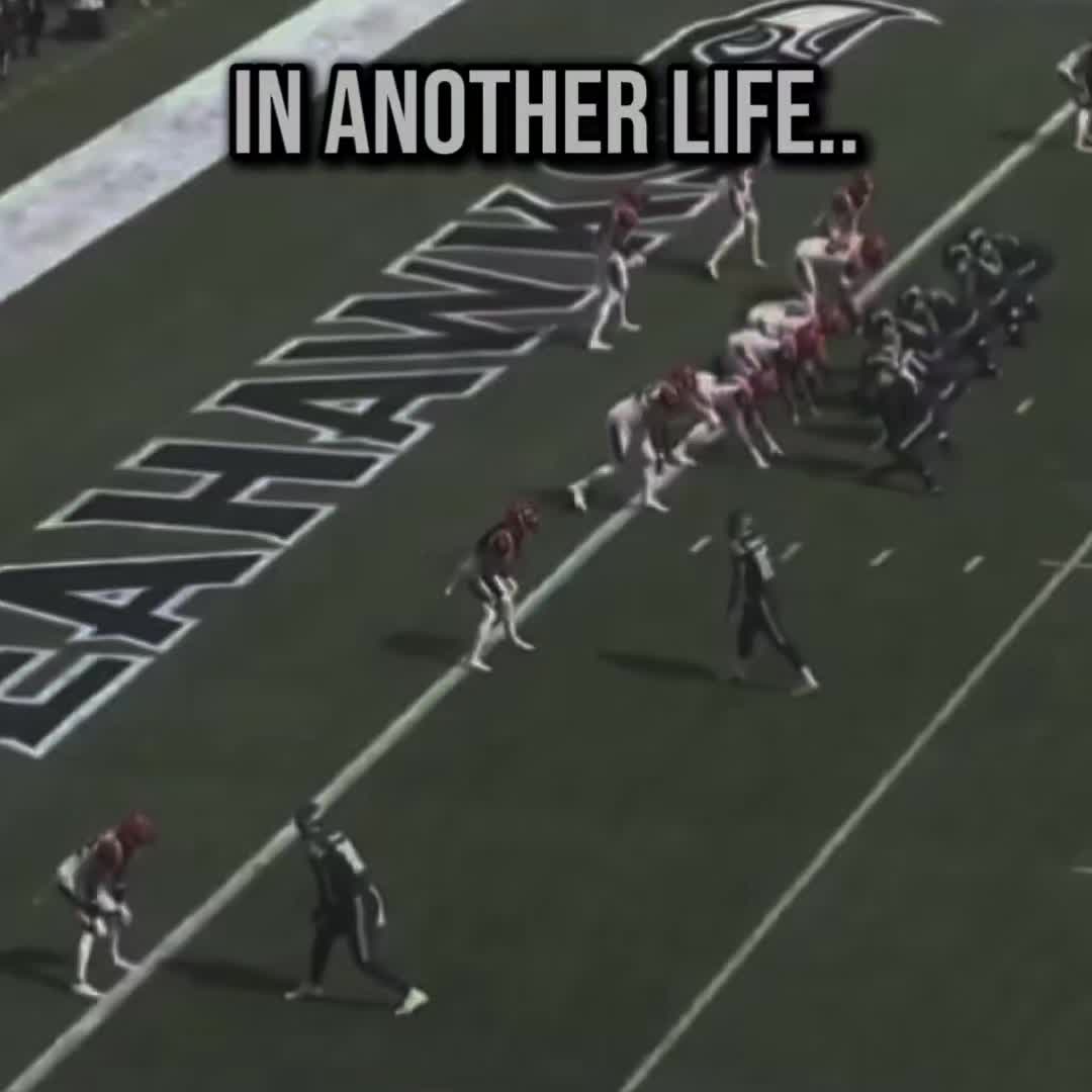 @Seahawks.area