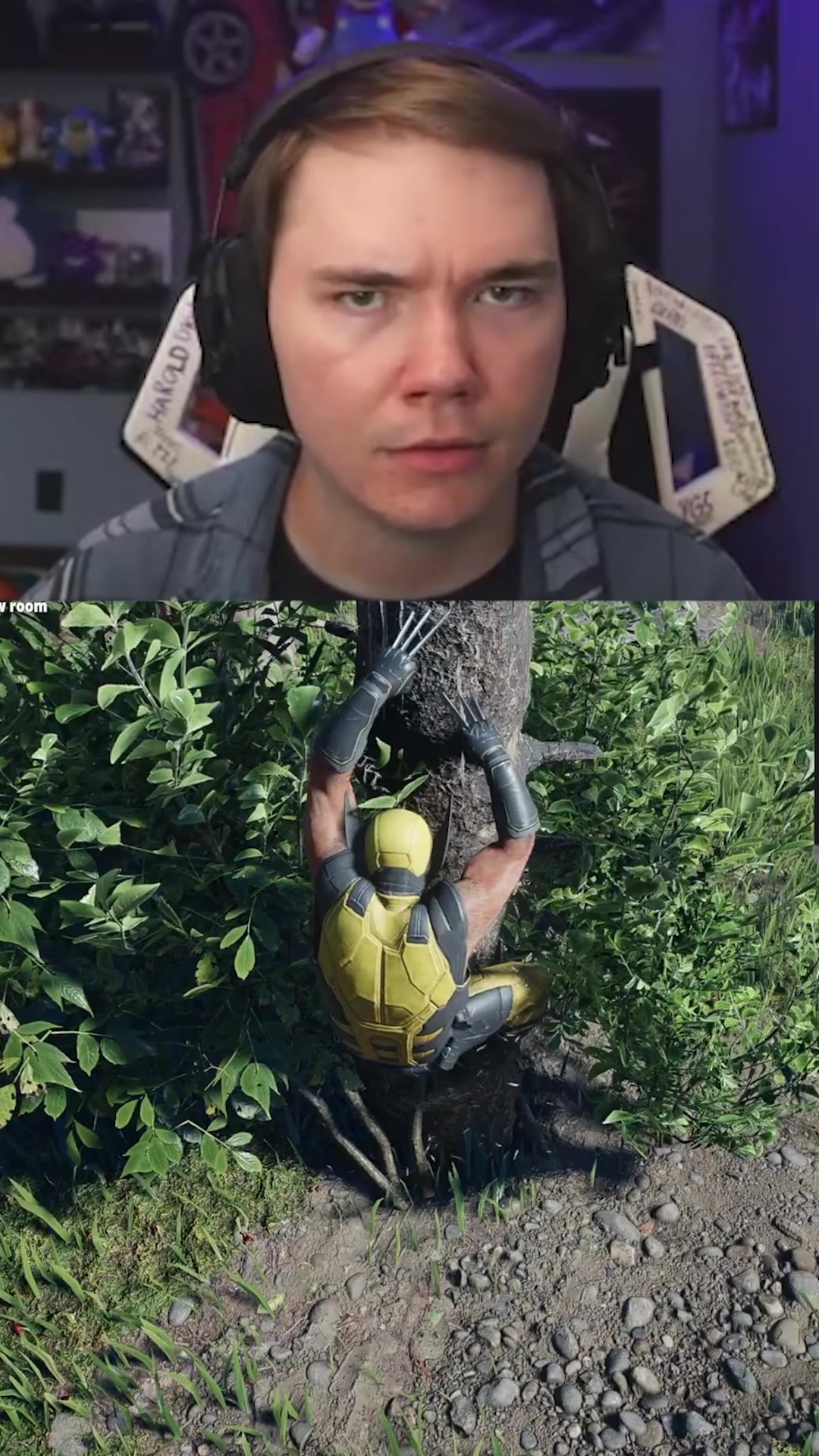 @LionHimself