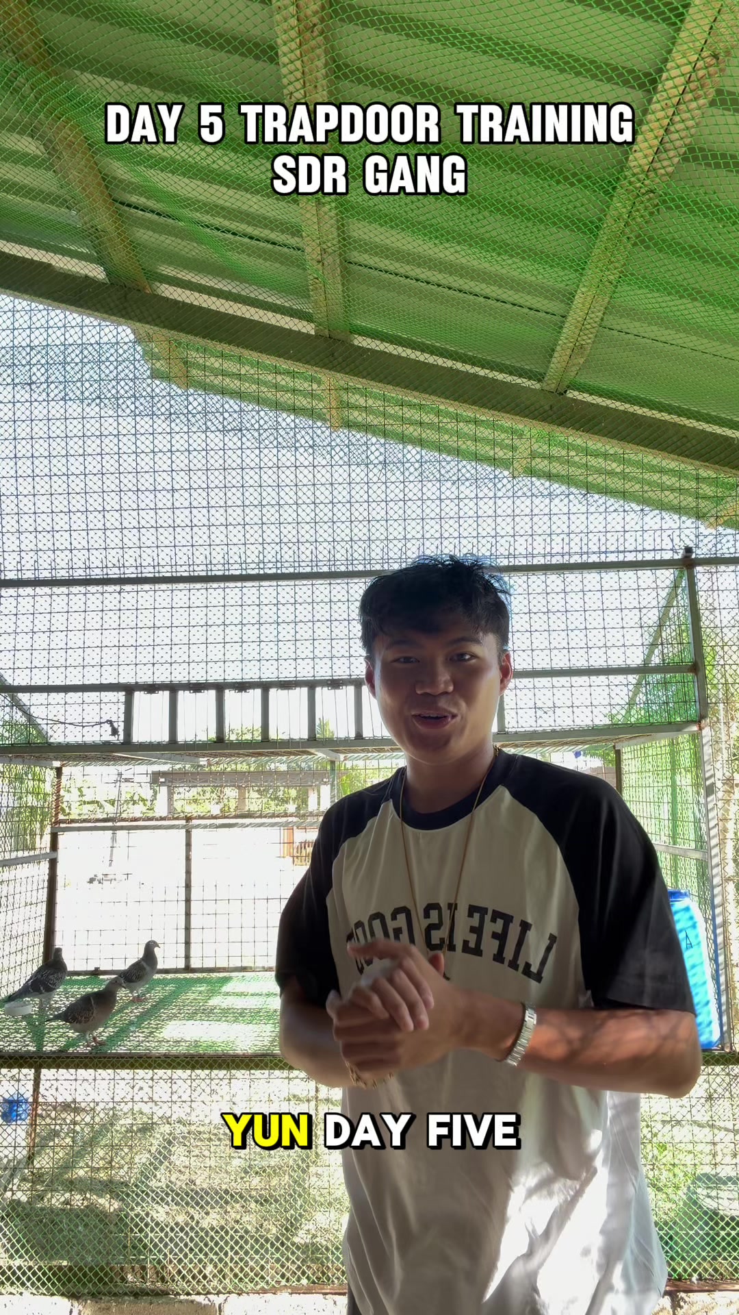 @JustUwa Aviary