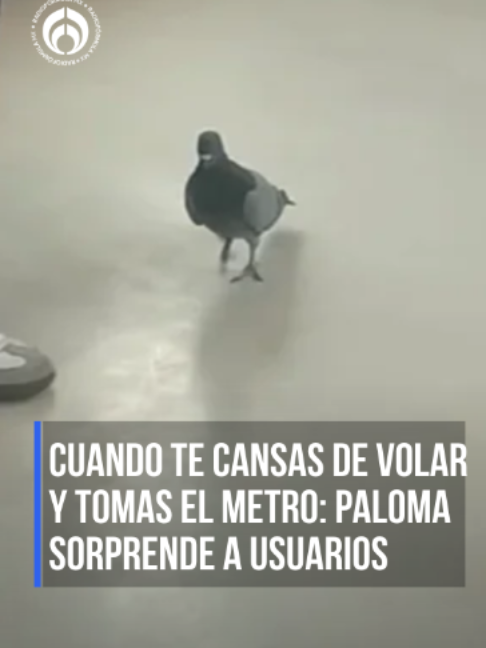 @Radio Fórmula