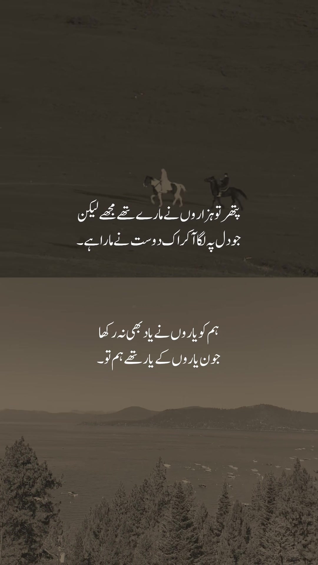@𓆩شیراز𓆪
