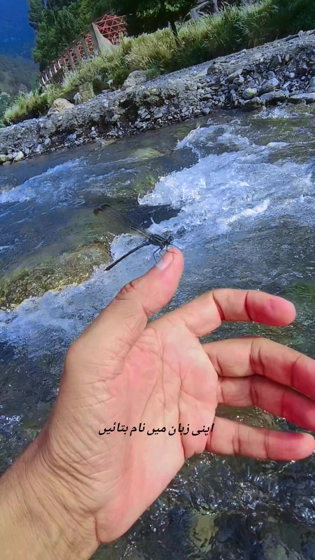 @🍁ANWARZEB🍁