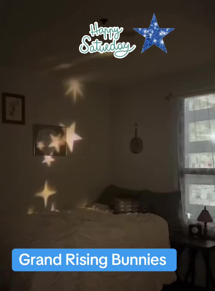 @NoBunnyButMe