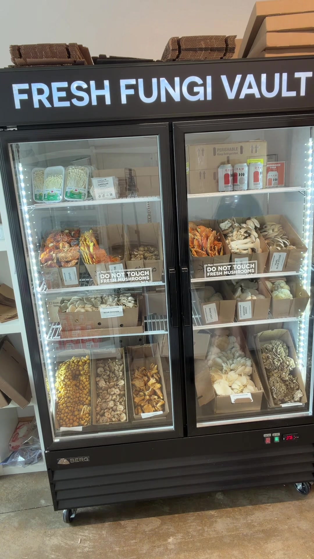 @The Mushroom Hub