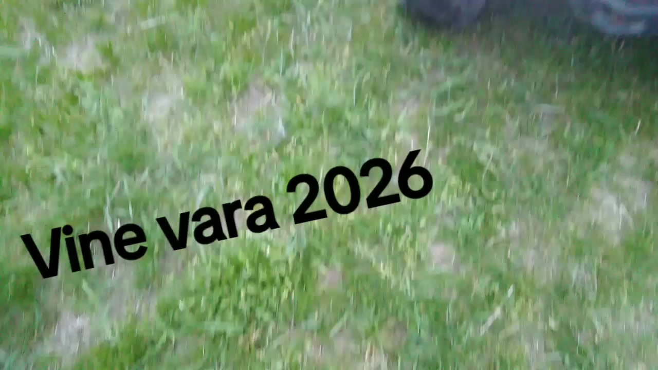 @(Bo.g_d.an)🇲🇩