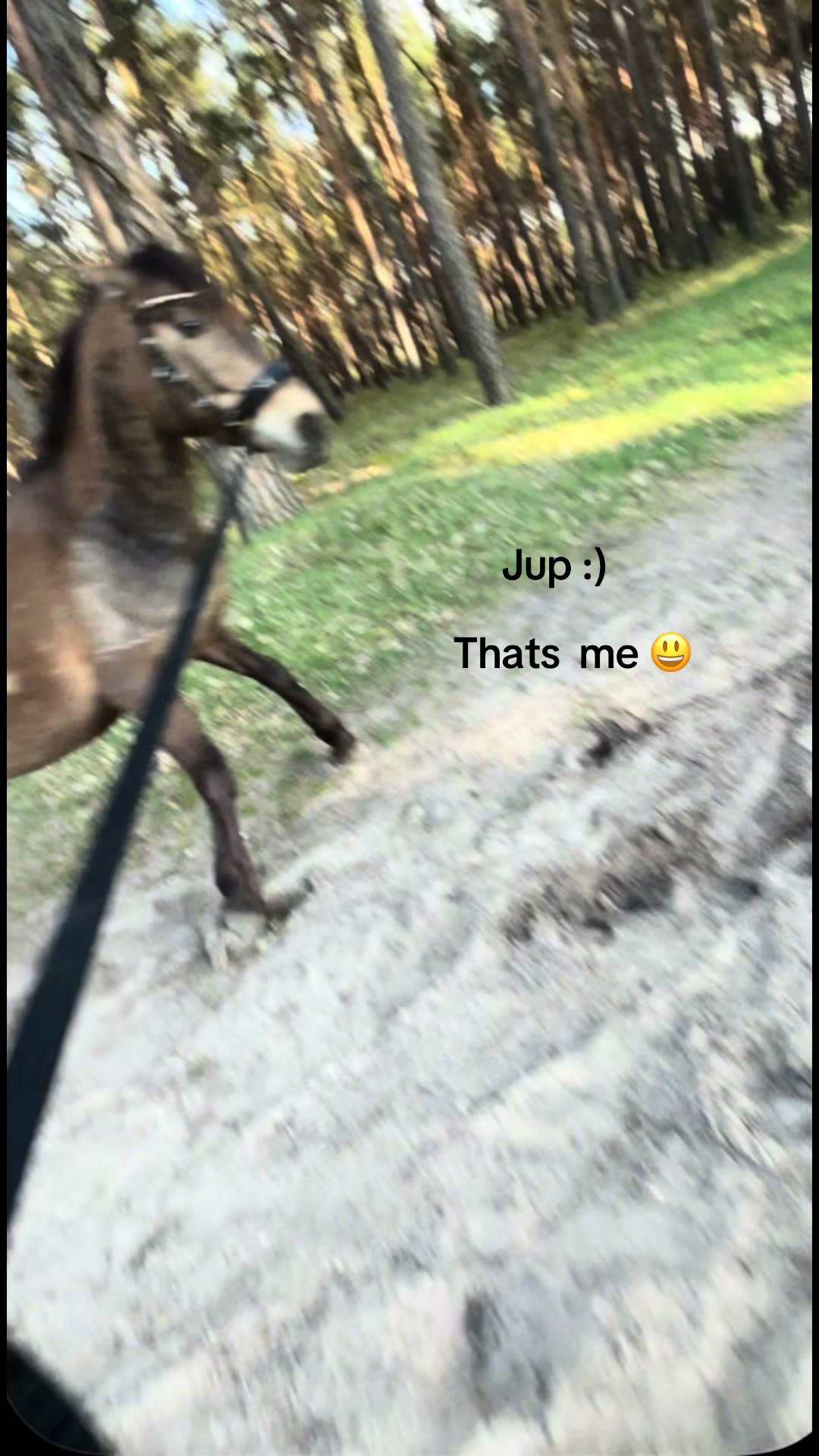 @amy.gfl