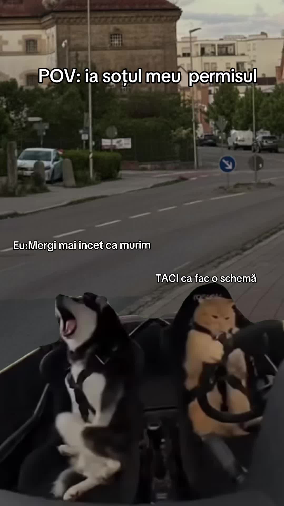 @Flori 🩷❤️