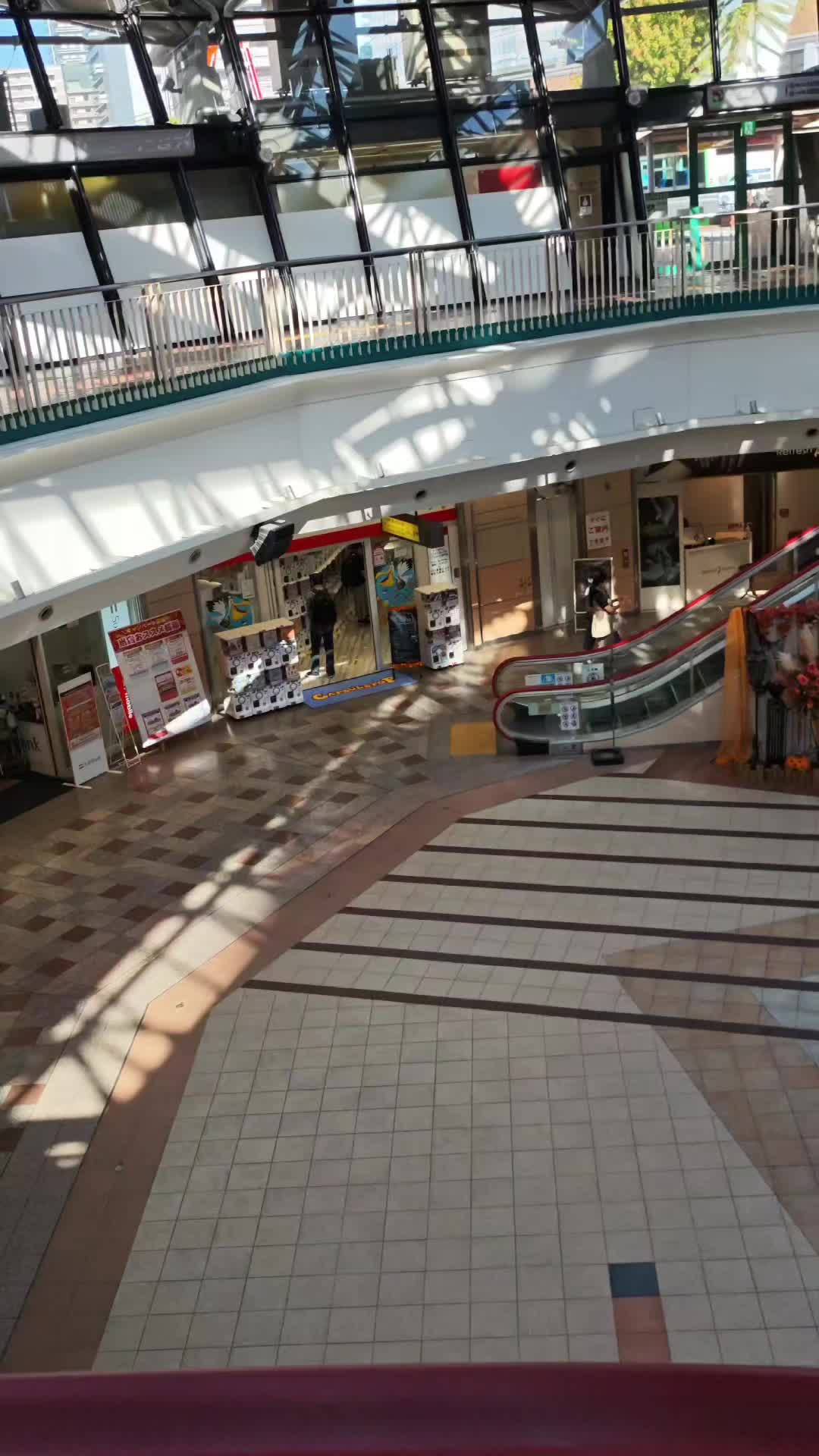 @在神户的弥罗君