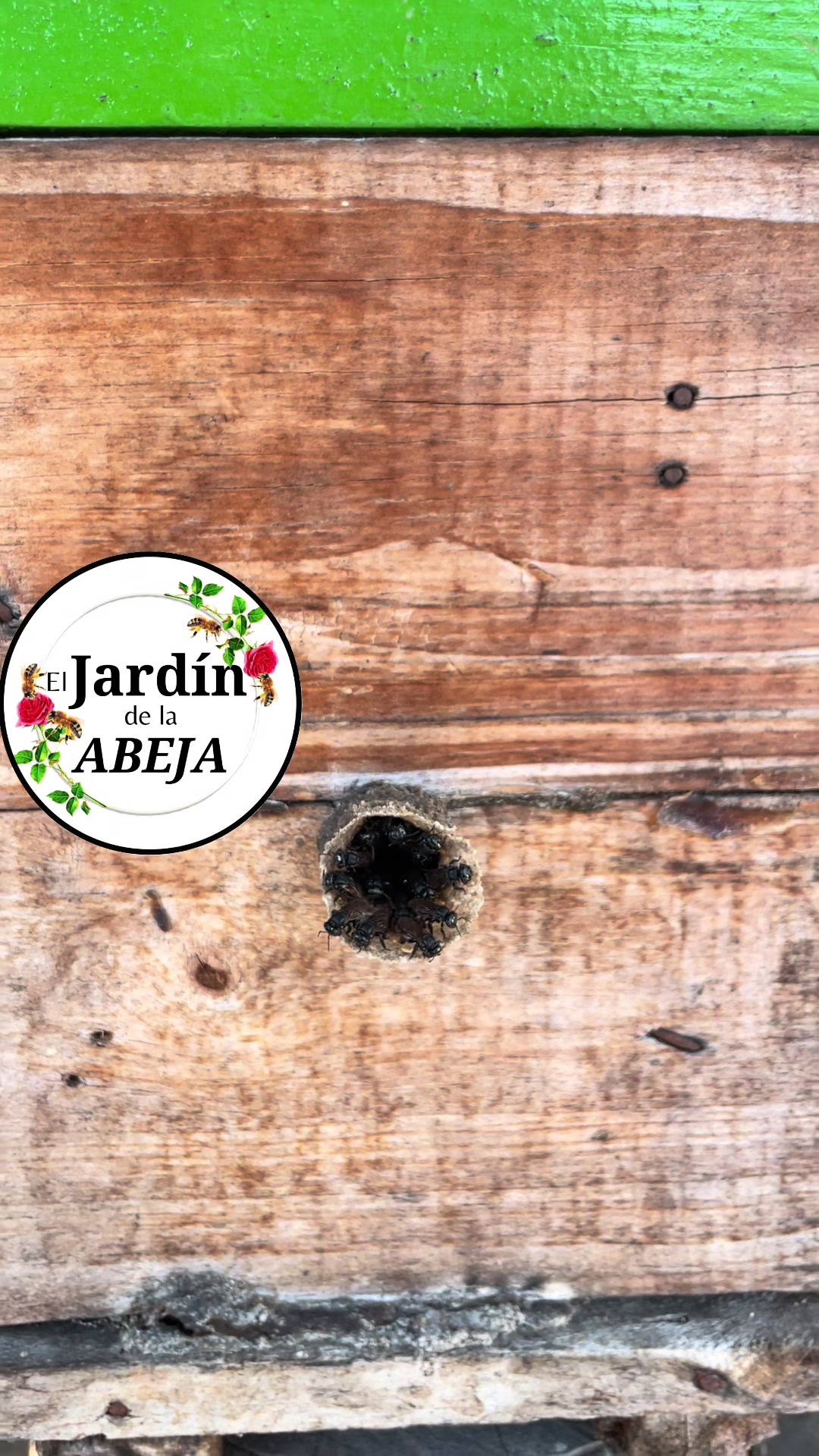 @jardin.de.la.abeja