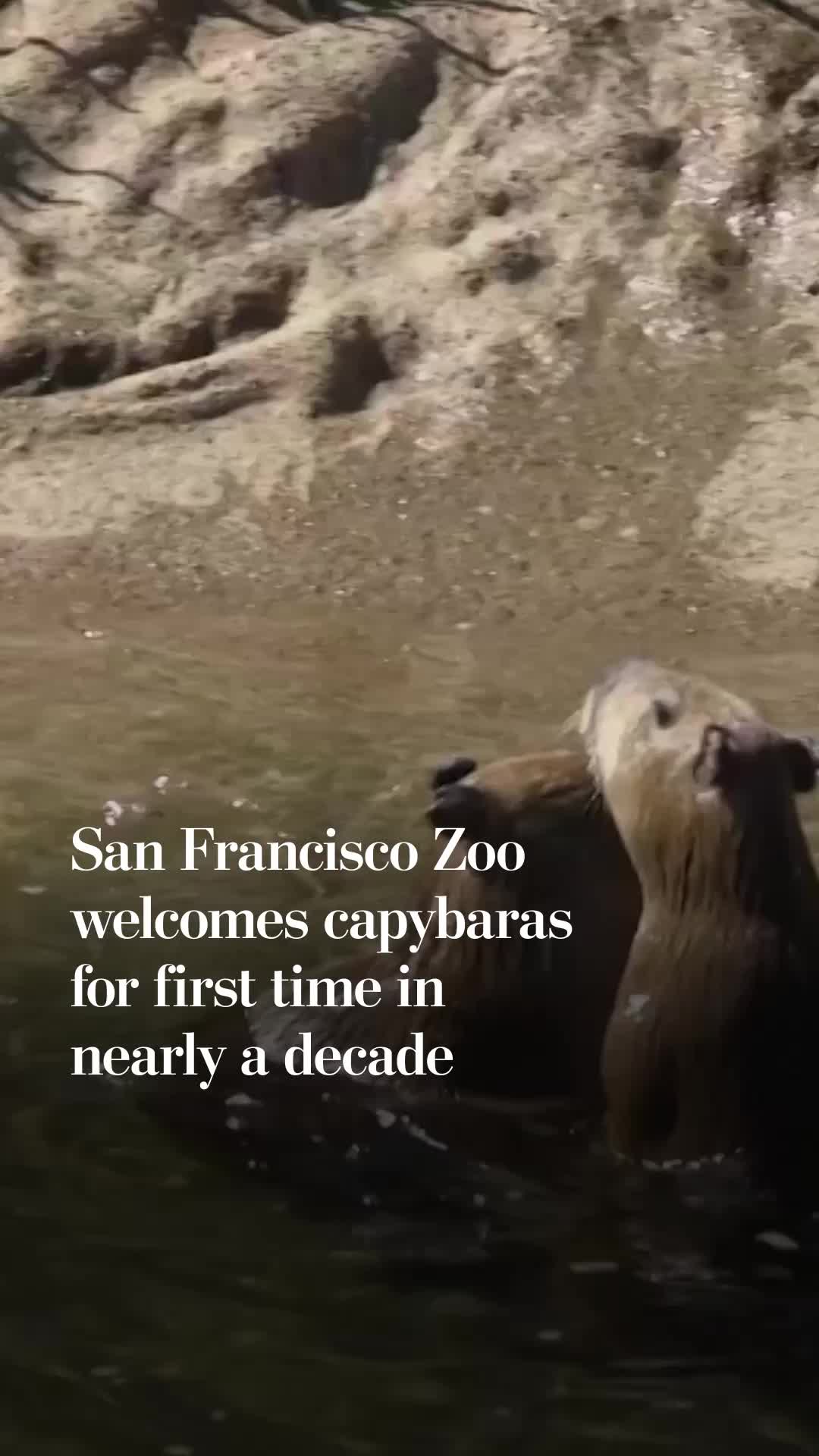@The Washington Post