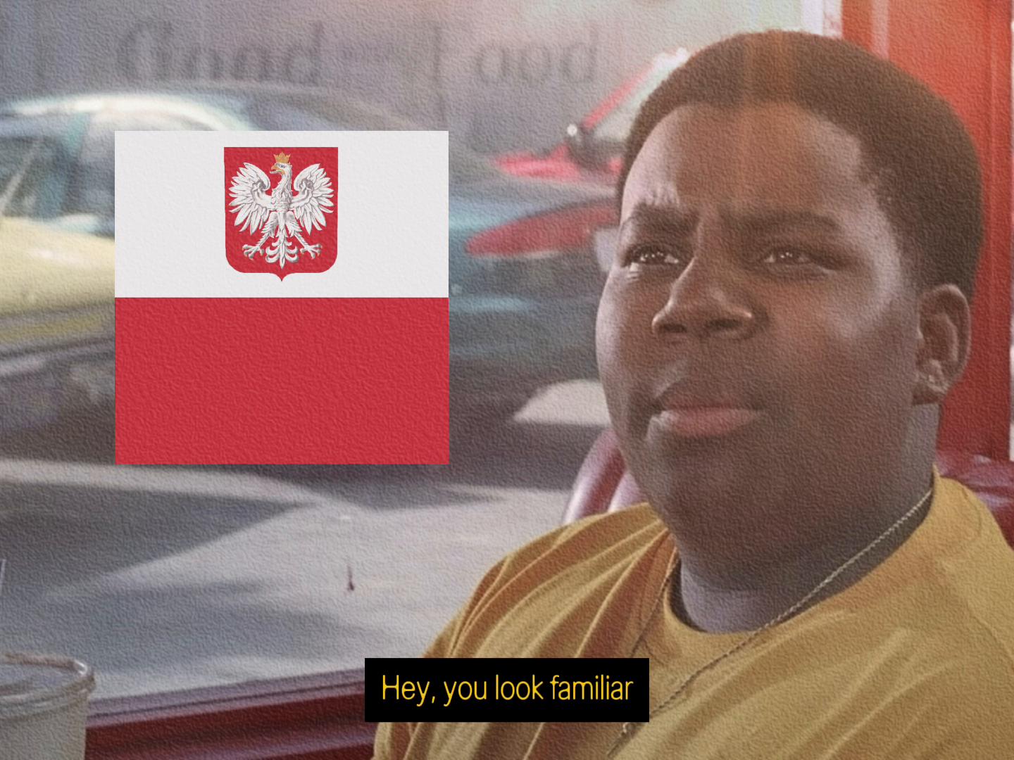 @Polish.Patriot.966