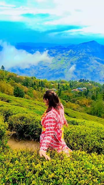 @rita dahal