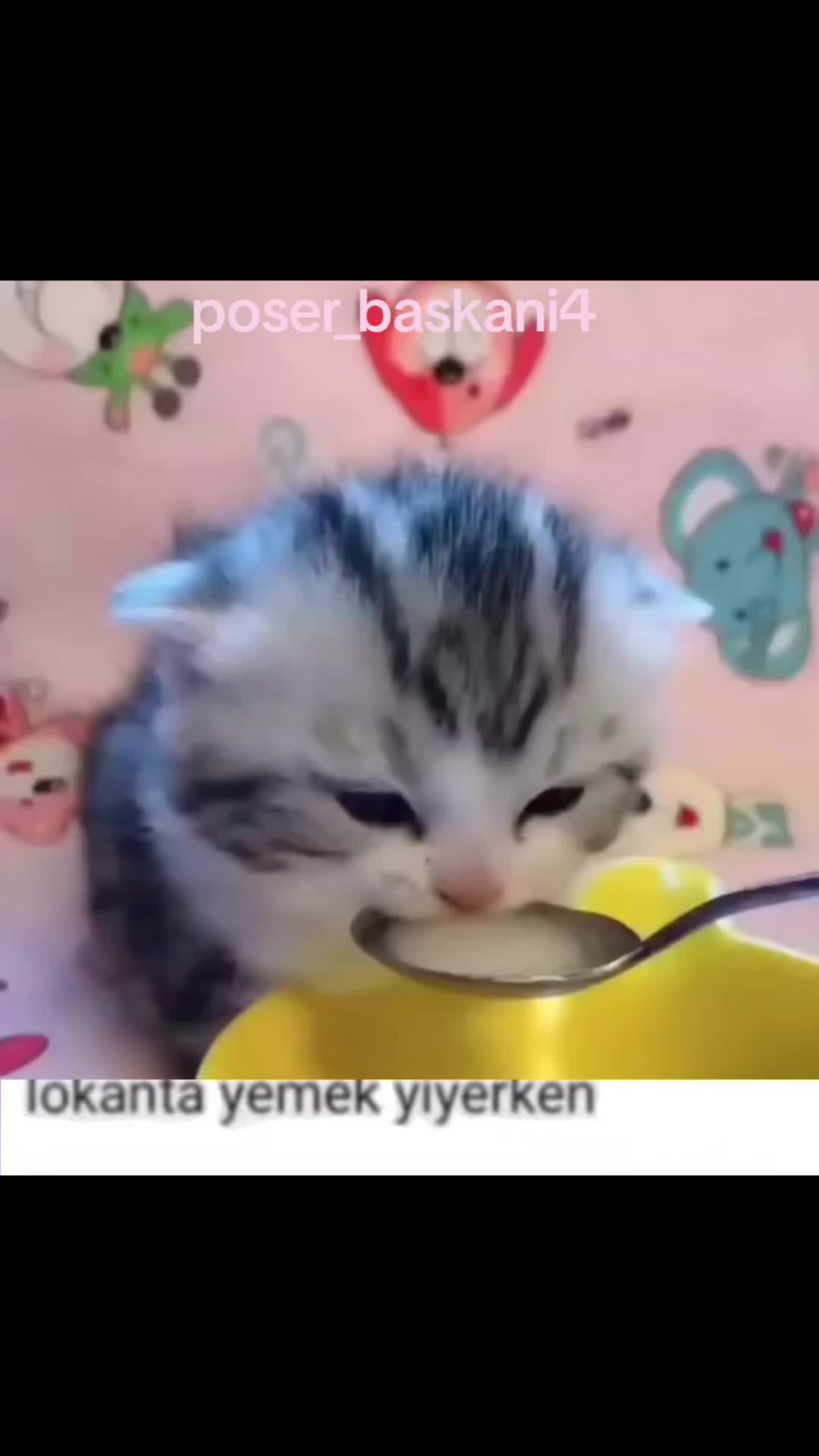 @poser_baskani4