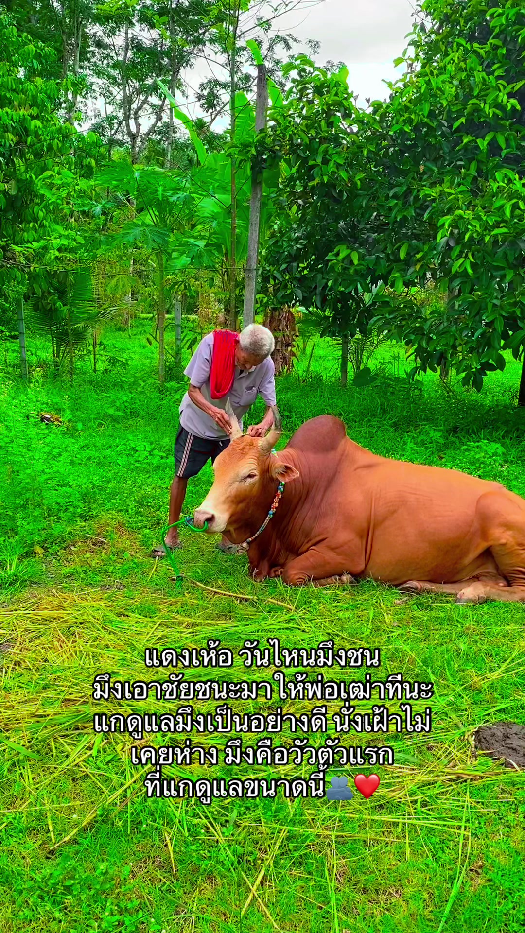 @ทำดีเข้าเเลก เพื่อกระเเทกหีเธอ