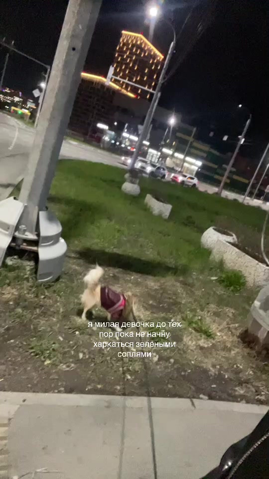 @аленаконч