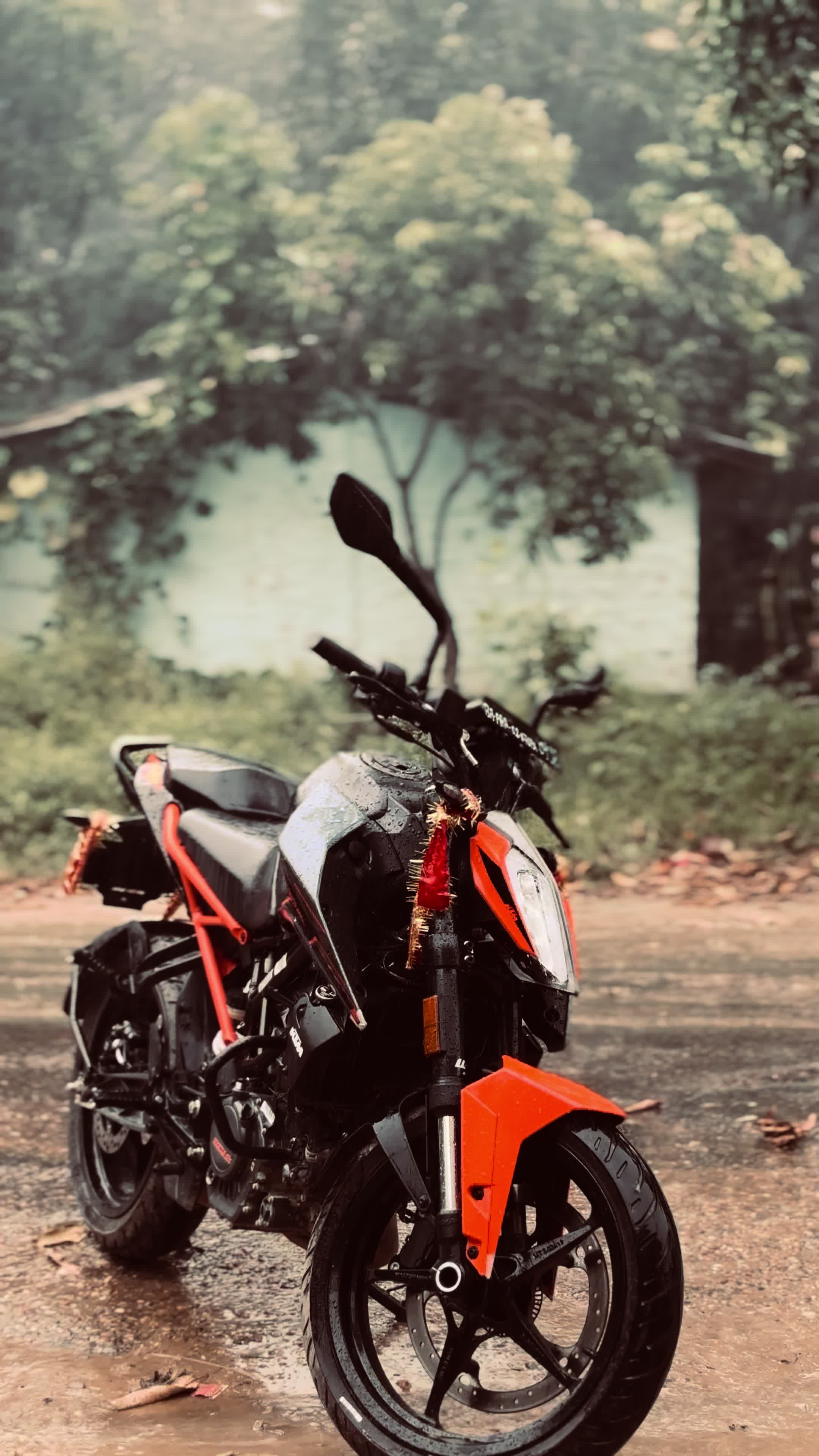 @🍃