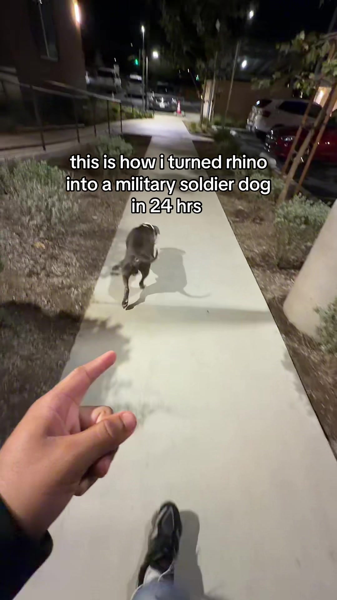@rhino_finds