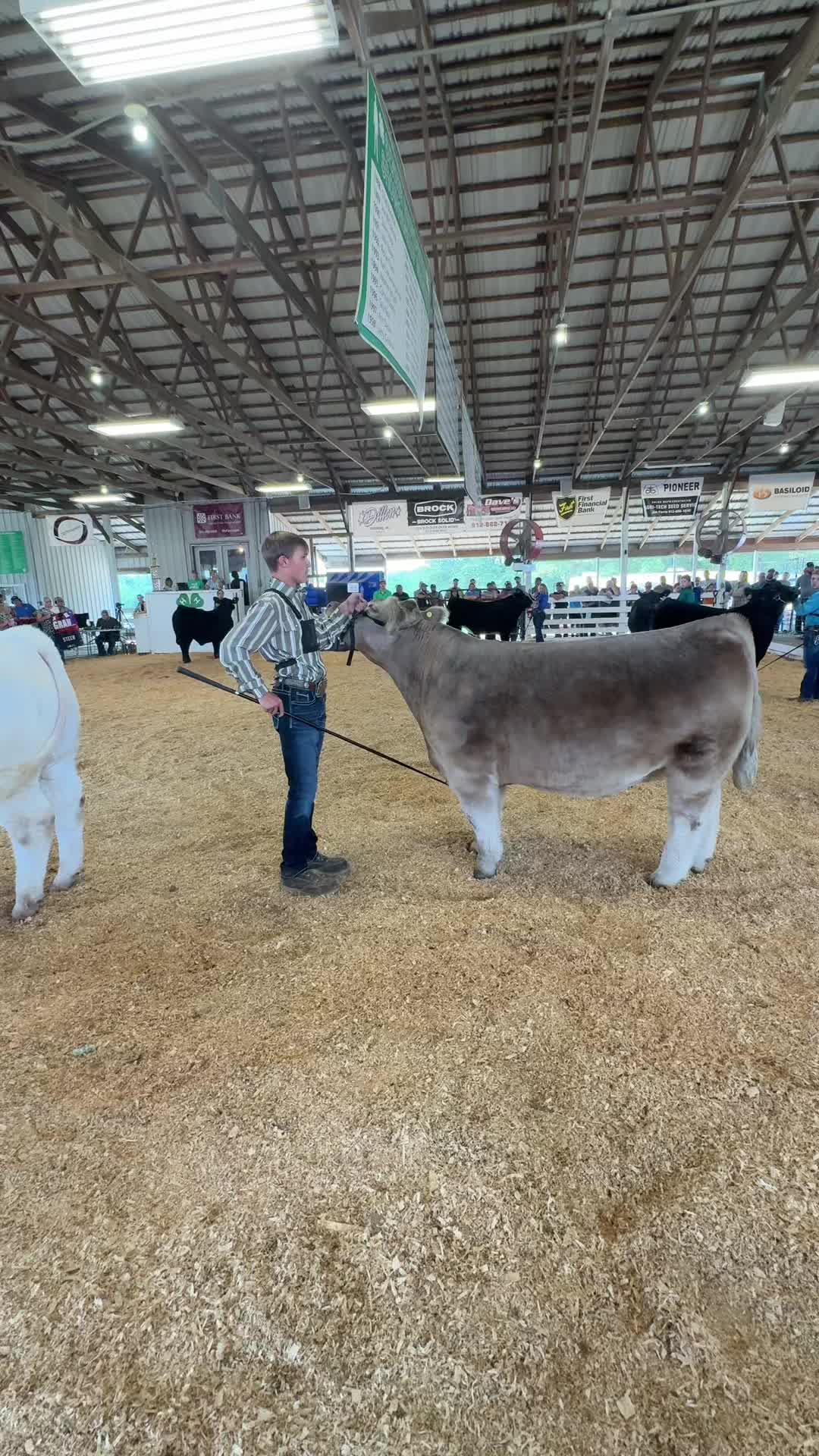 @Knox County Fair | Indiana